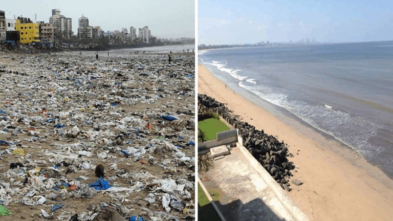 beach cleanup