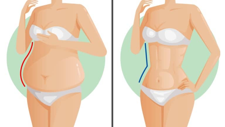 belly fat