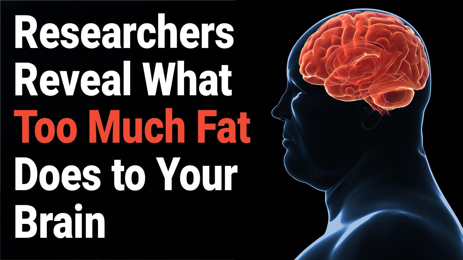 Researchers Reveal What Too Much Fat Does to Your Brain