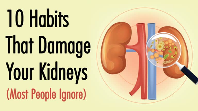 kidneys