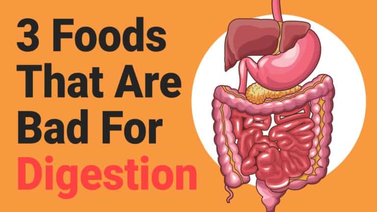 digestion