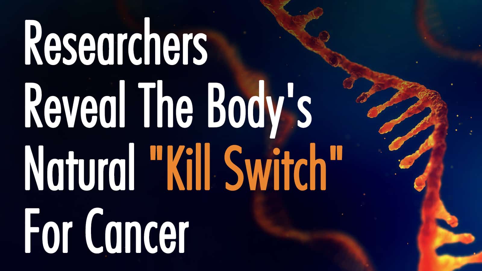 Researchers Reveal The Body’s Natural “Kill Switch” For Cancer