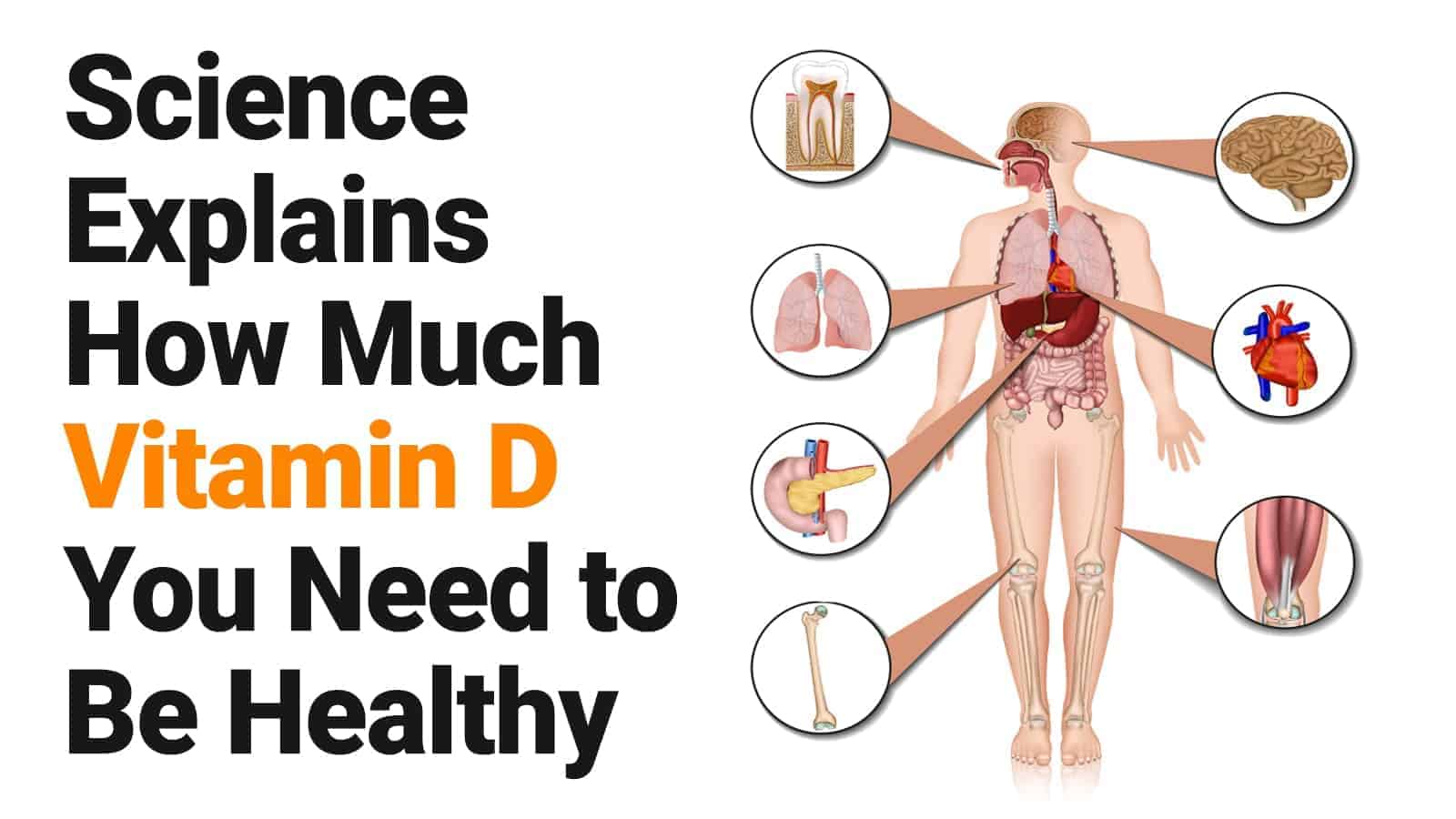 Science Explains How Much Vitamin D You Need to Be Healthy