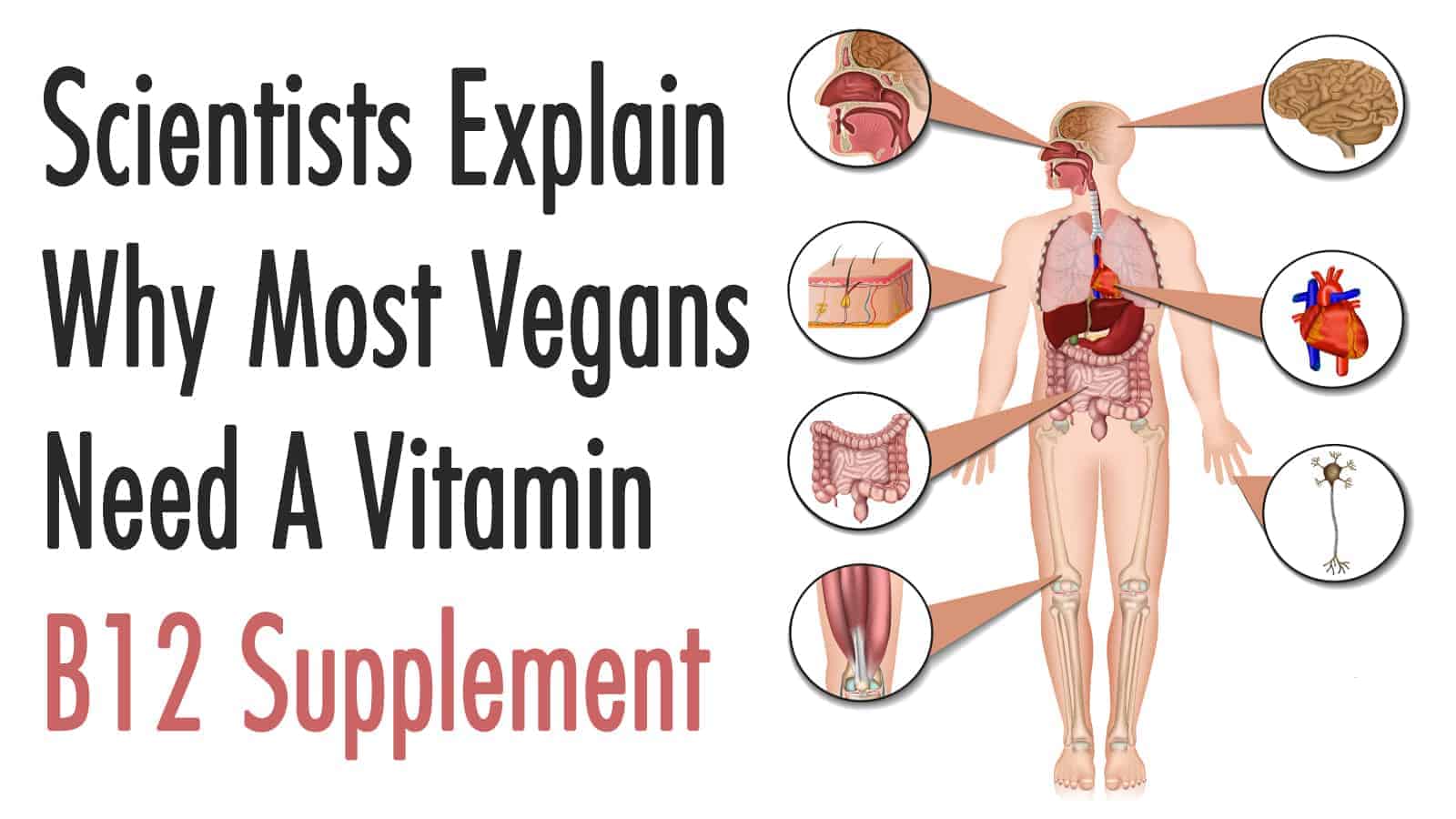 Scientists Explain Why Most Vegans Need A Vitamin B12 Supplement