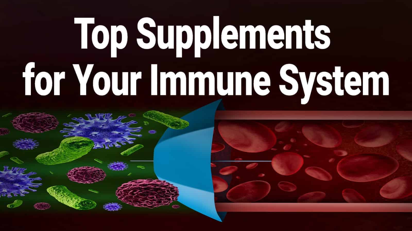 13 Top Supplements For Your Immune System