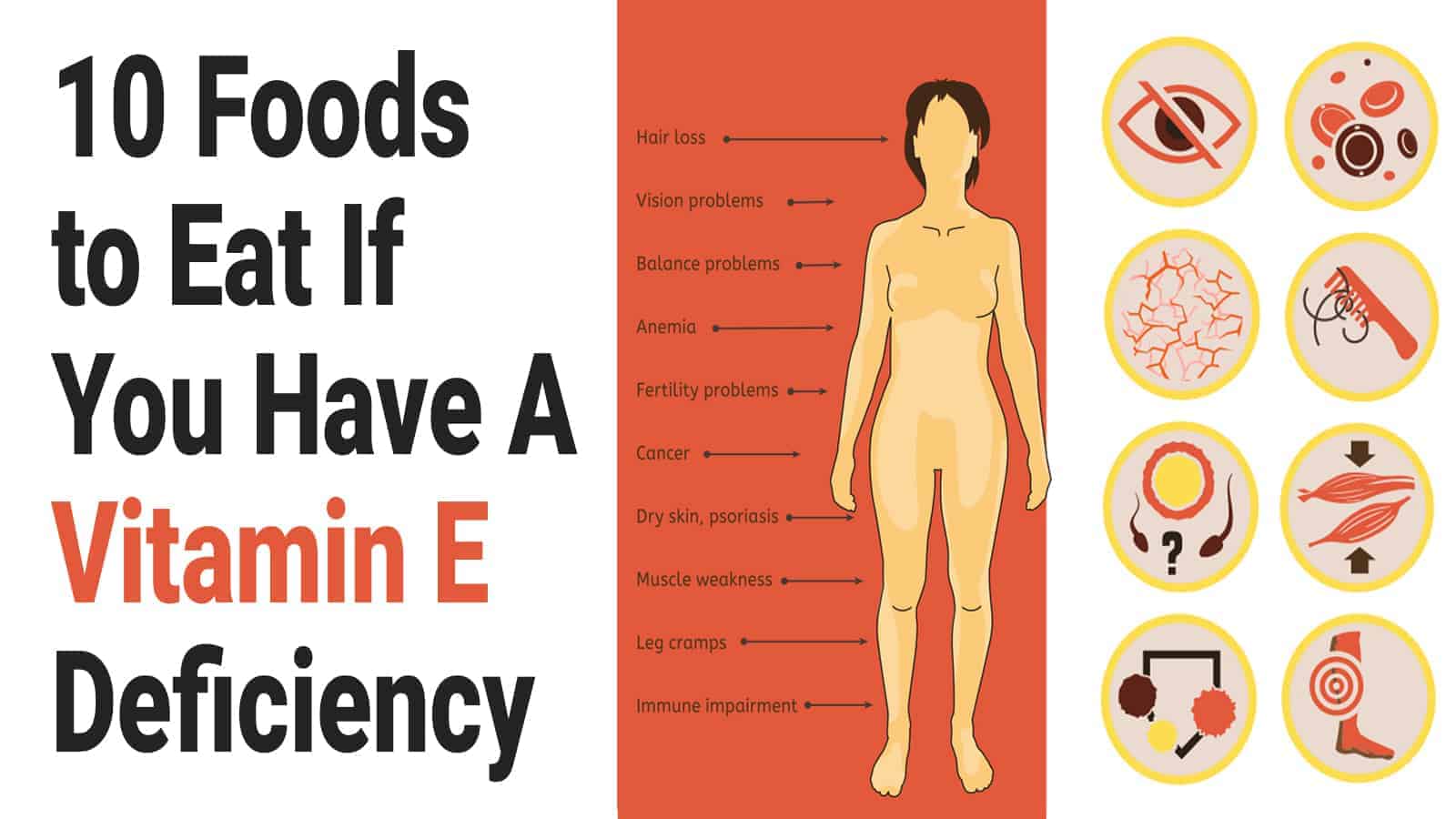 10 Foods to Eat If You Have A Vitamin E Deficiency