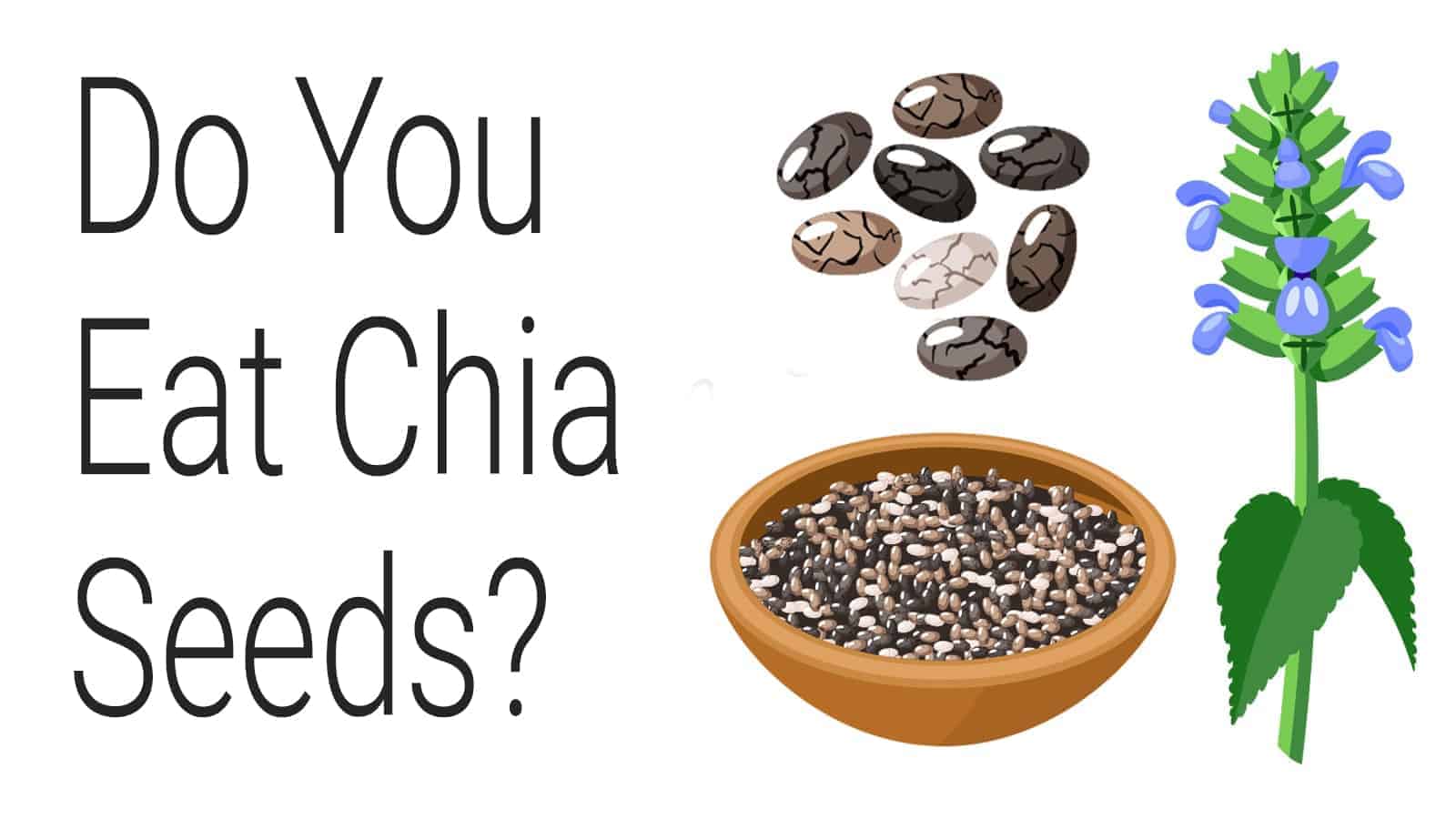 Science Explains 15 Things That Happen to Your Body When You Eat Chia Seeds
