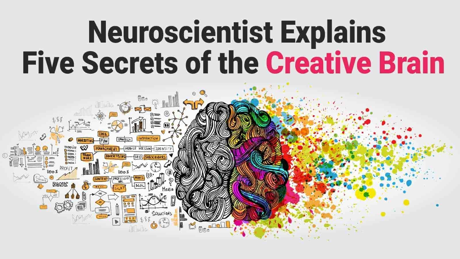 Neuroscientist Explains Five Secrets of the Creative Brain