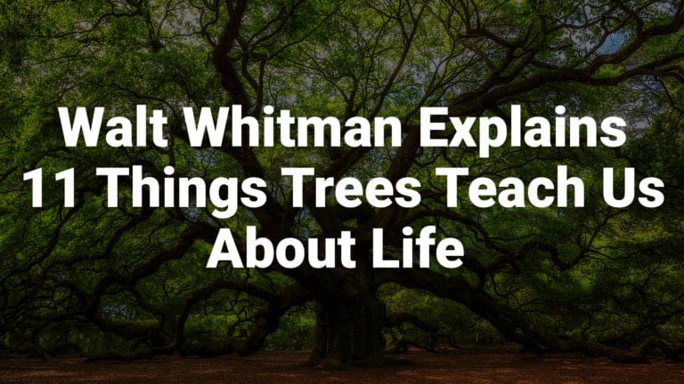 walt whitman