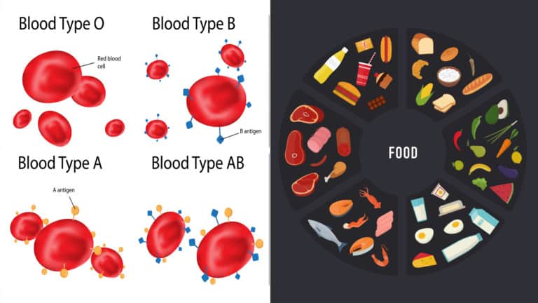 blood type