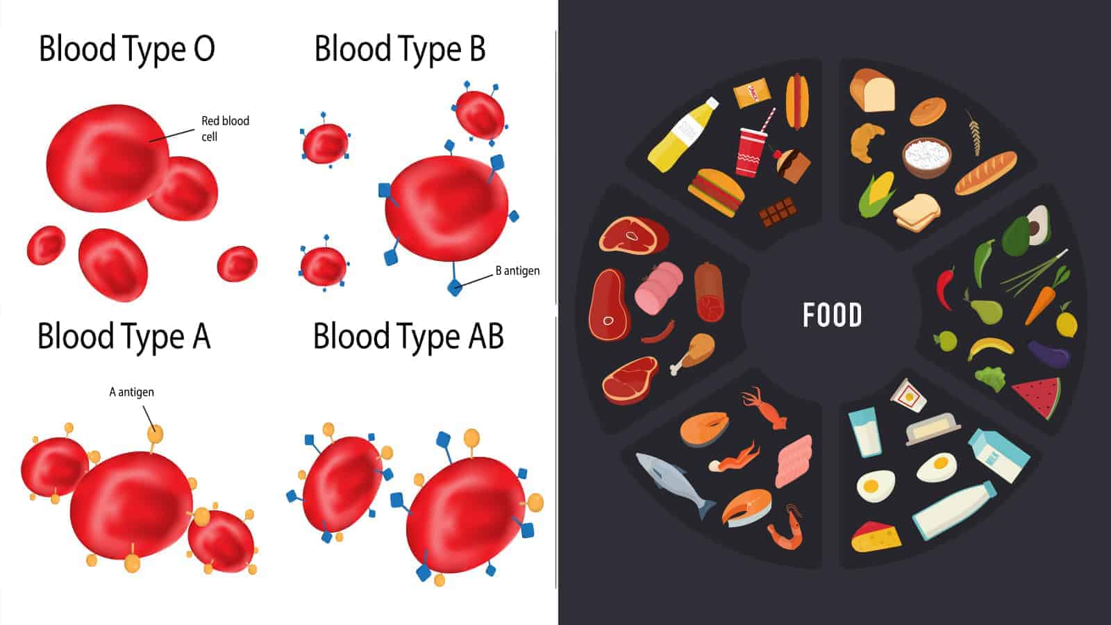 Science Explains What Foods to Eat, According to Your Blood Type