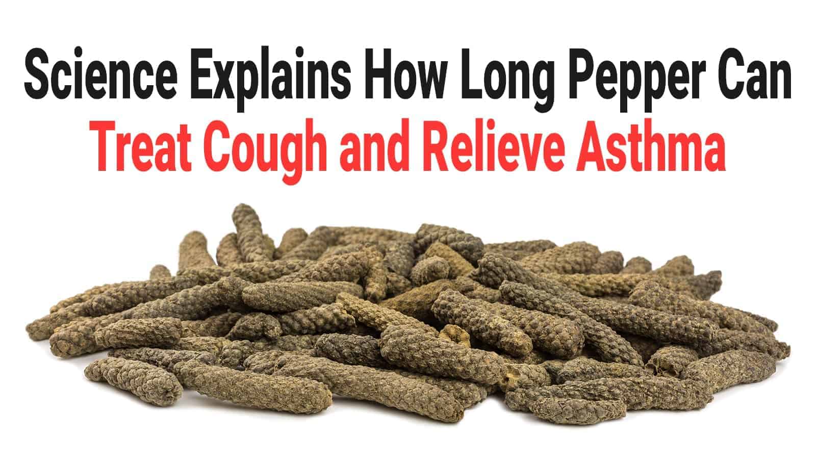 Science Explains How Long Pepper Can Treat Cough and Relieve Asthma