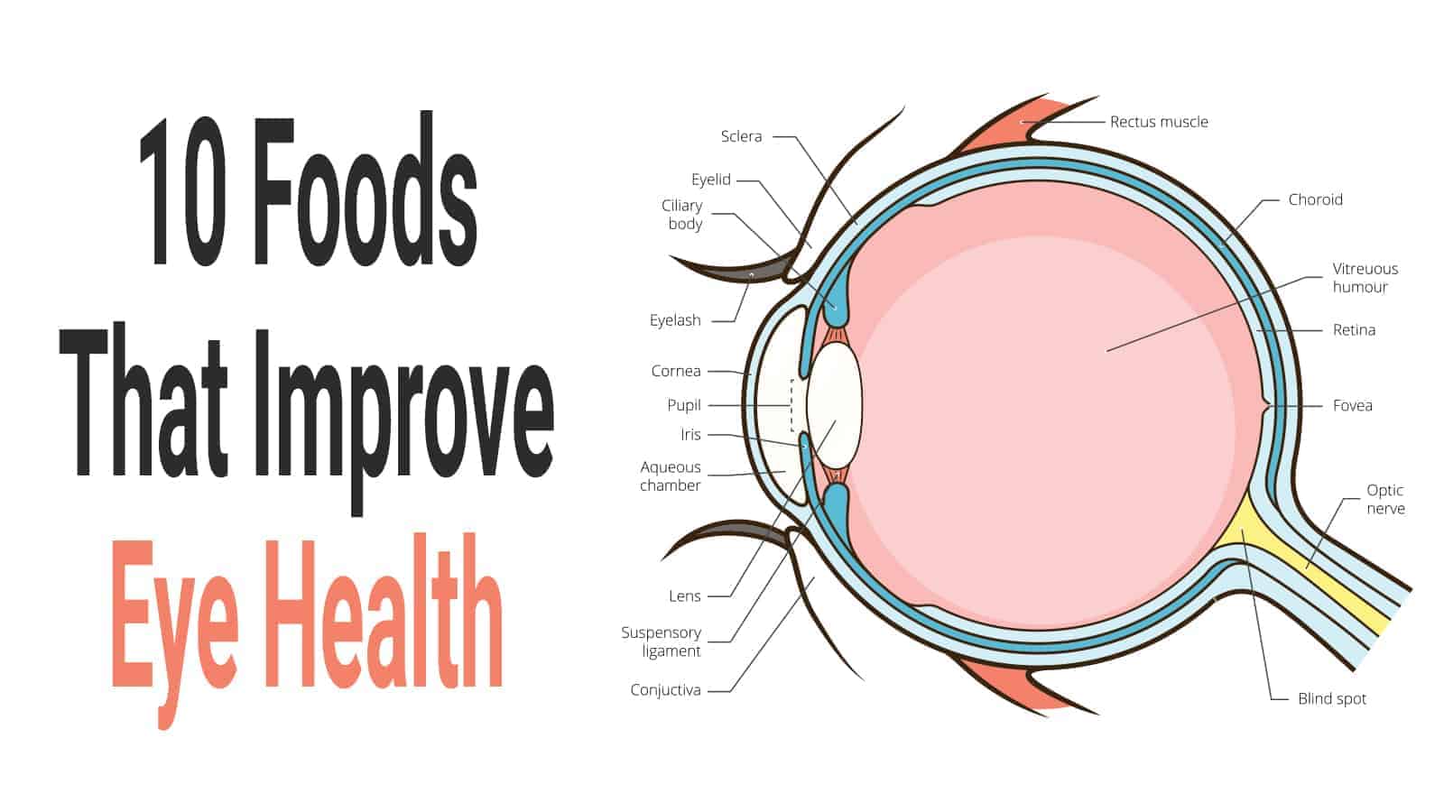 10 Foods That Improve Eye Health