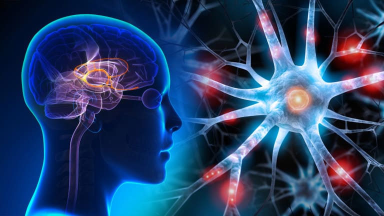 brainpower