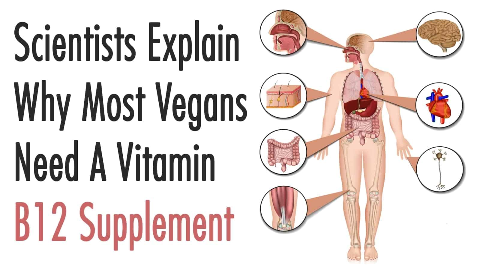 thyroid - vitamin b12