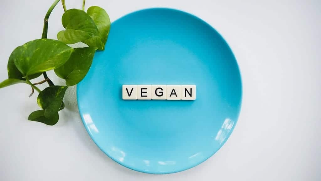 Vegan Recipes: 31 Delicious, Nutritious Dishes