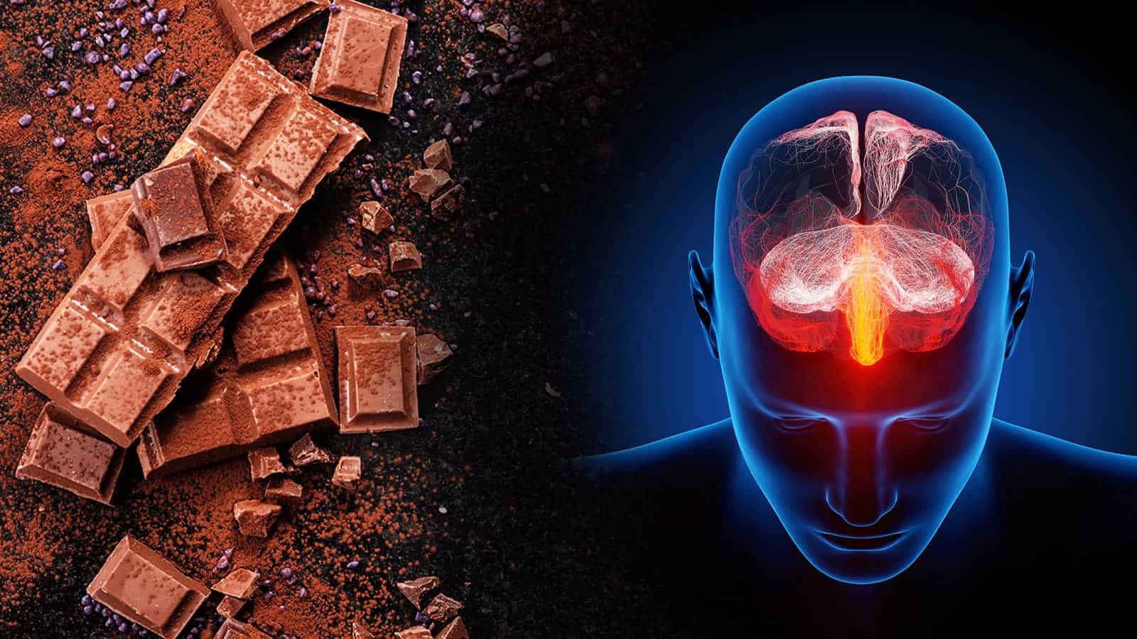10 Foods That Help You Remember and Focus