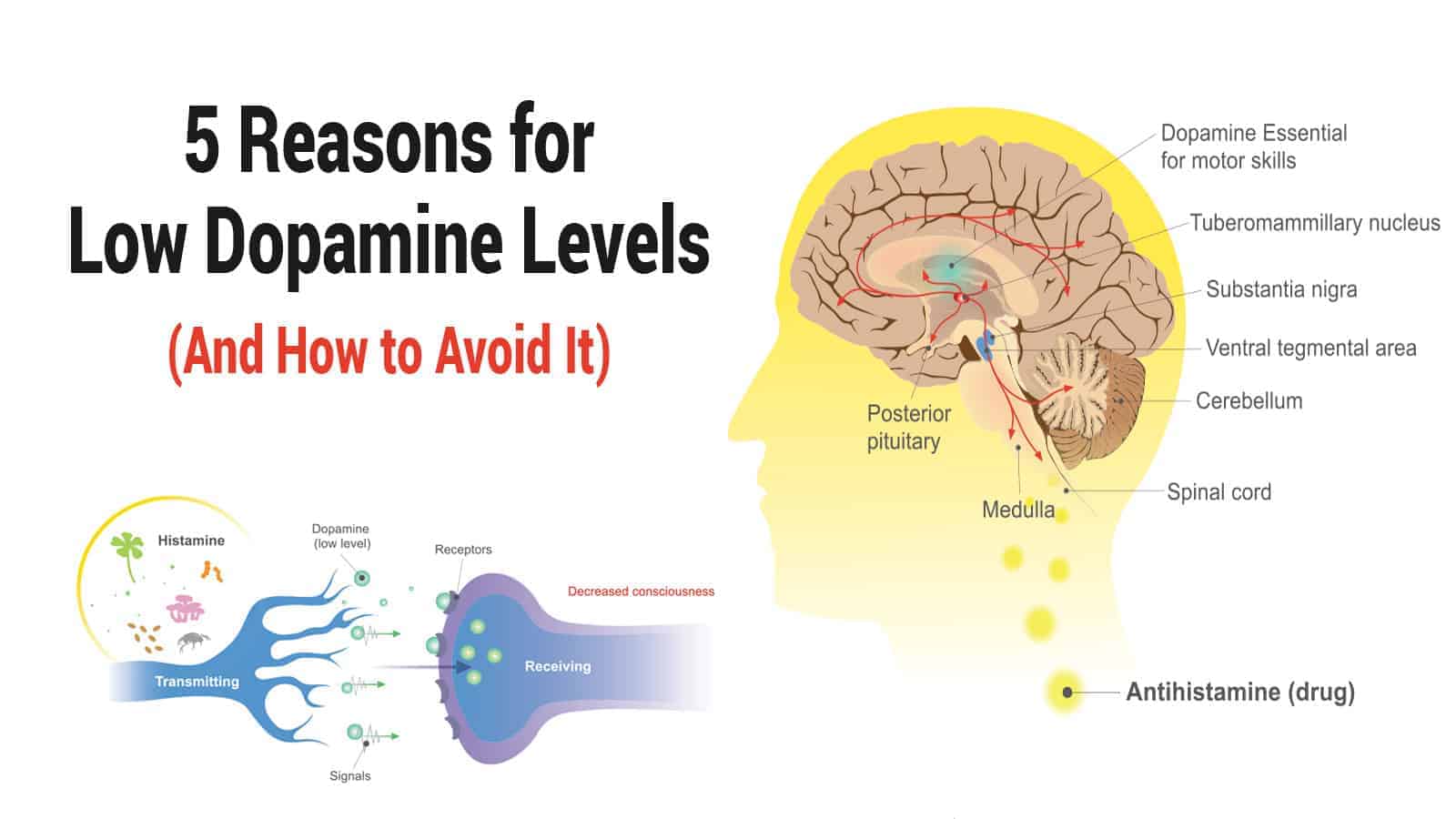 low dopamine