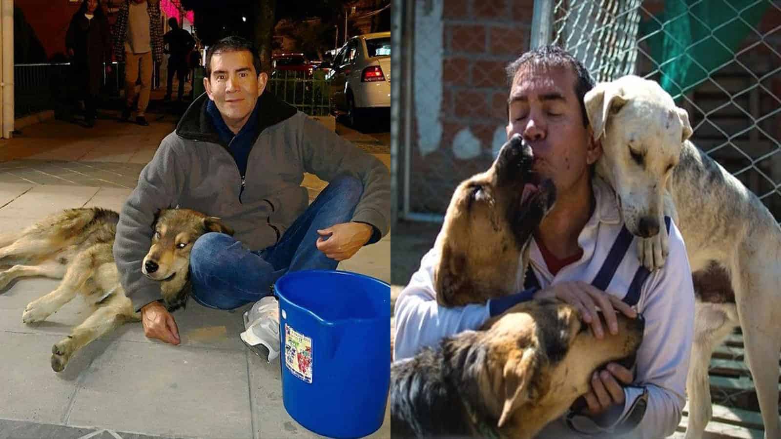 Bolivian Man Finds A Way to Save Every Stray Dog From Hunger for Free
