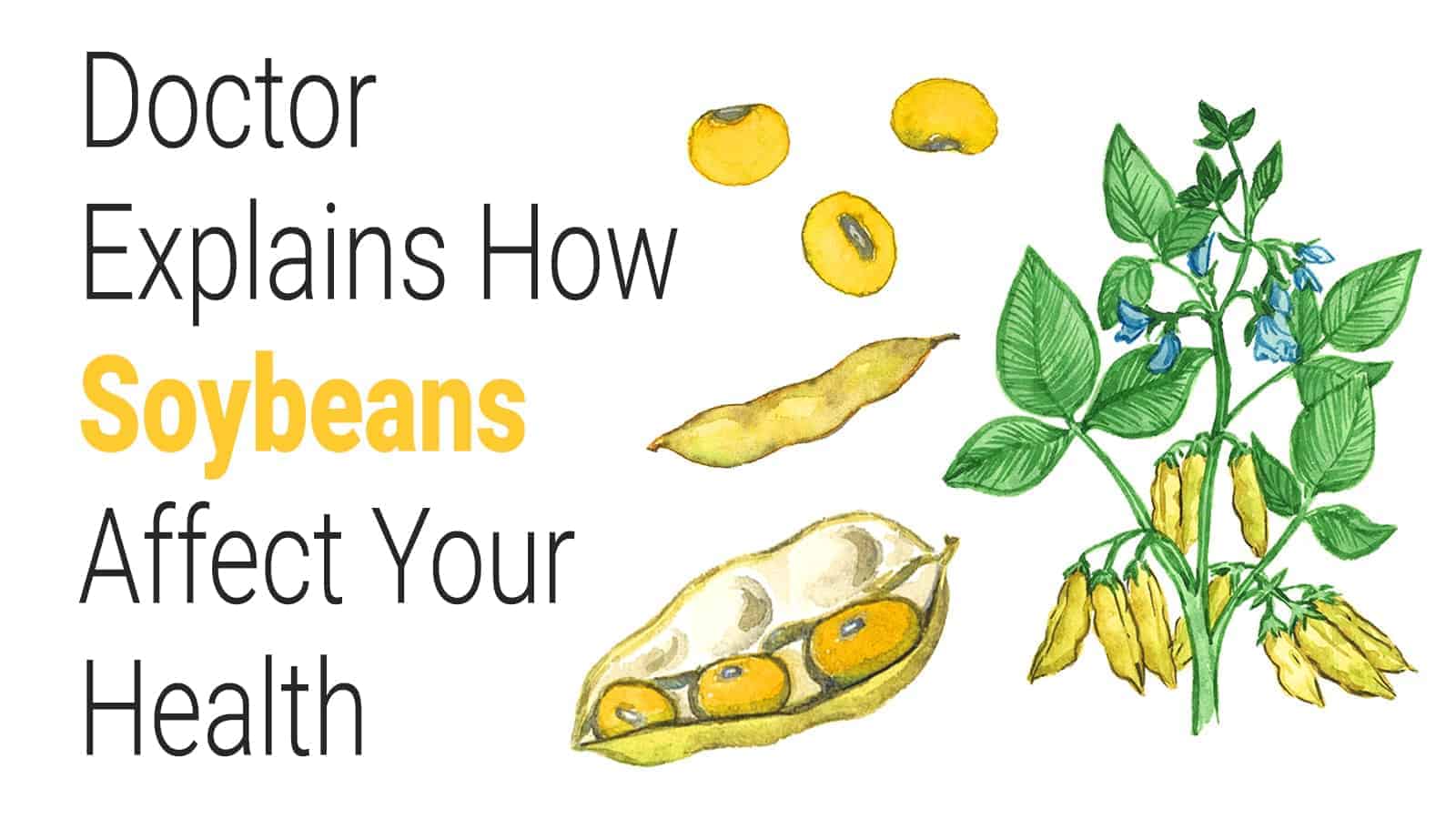 Doctor Explains How Soybeans Affect Your Health