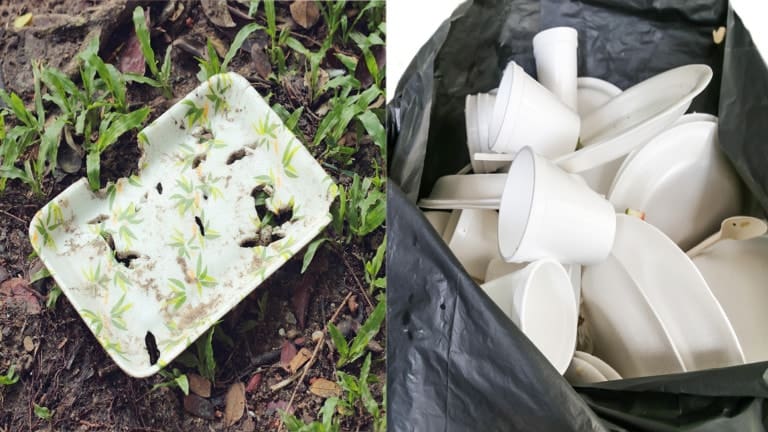 styrofoam ban