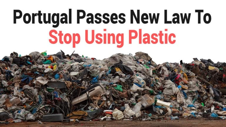 plastic