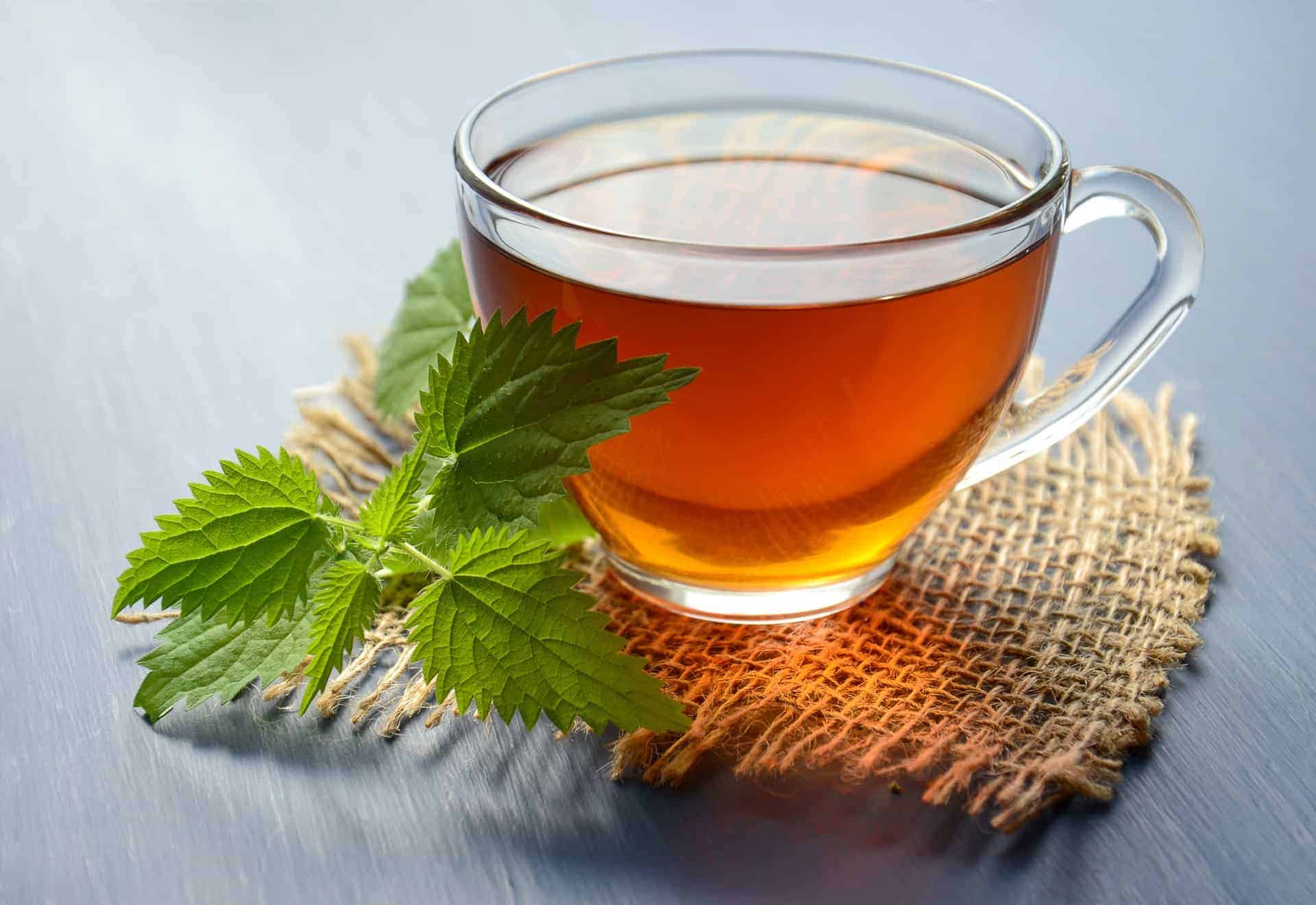 15 Amazing Health Benefits Of Peppermint Tea