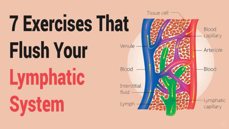 lymphatic system