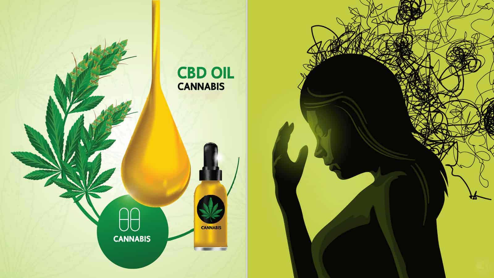 Scientists Explain How CBD Oil Helps Relieve Anxiety