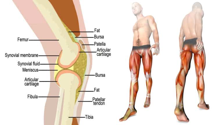 knee pain