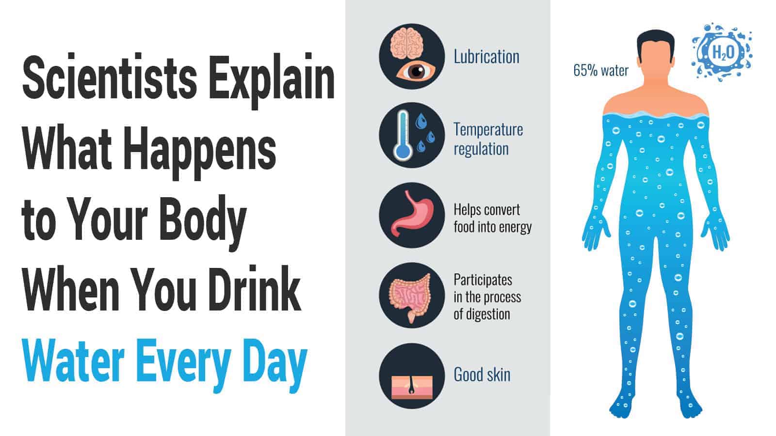 Scientists Explain What Happens to Your Body When You Drink Water Every Day