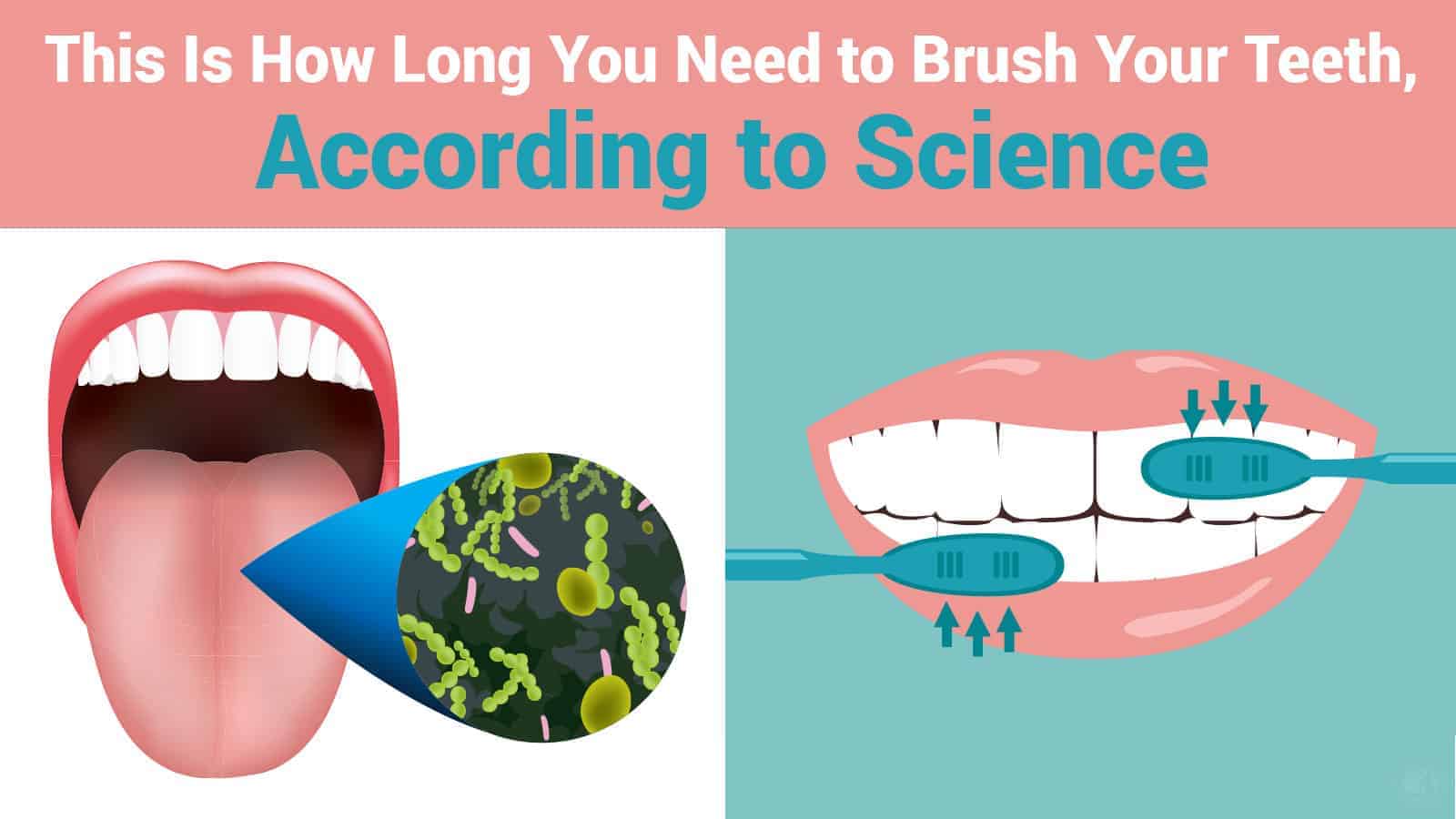 This Is How Long You Need to Brush Your Teeth, According to Science