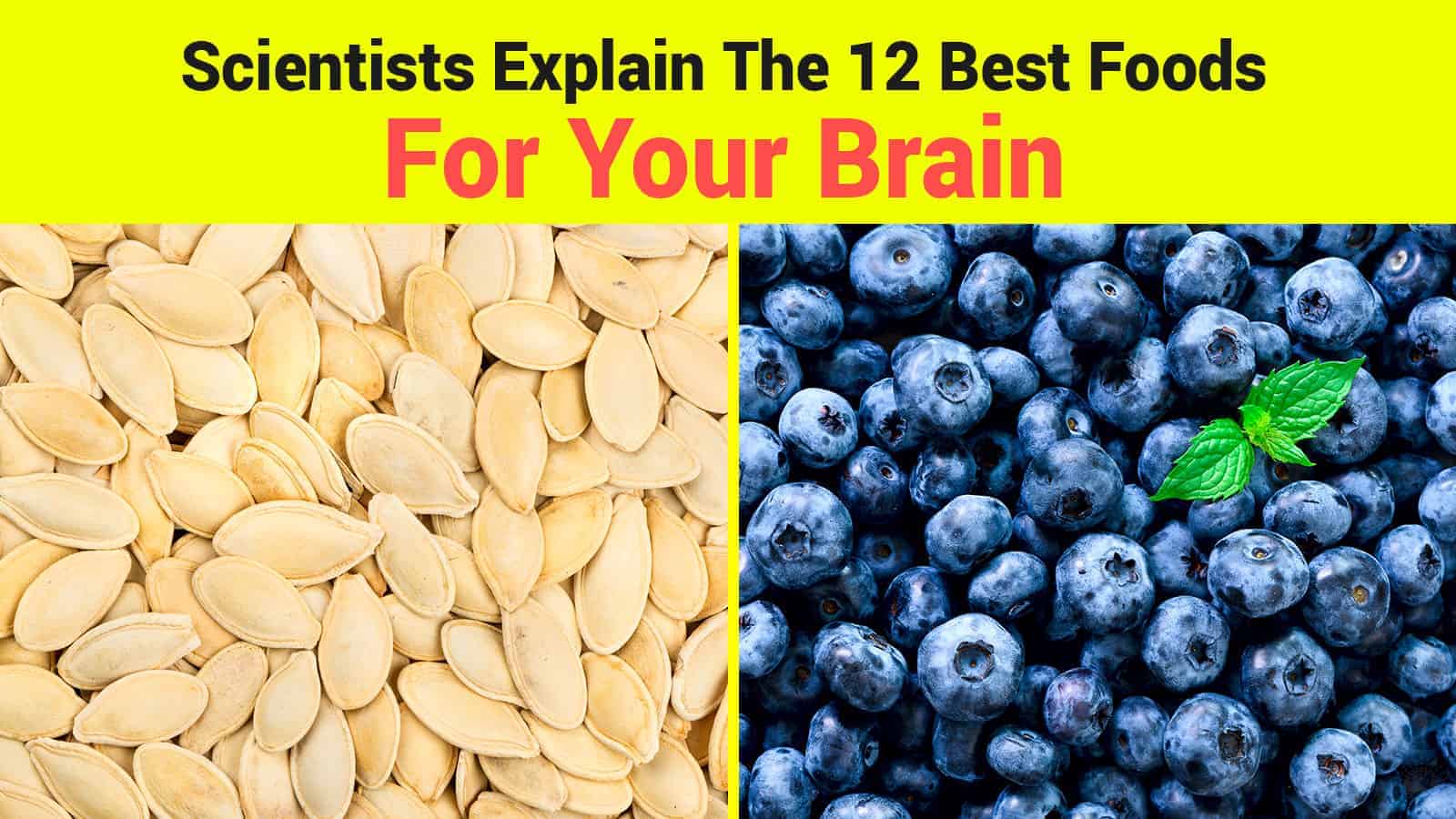 Scientists Explain The 12 Best Foods For Your Brain