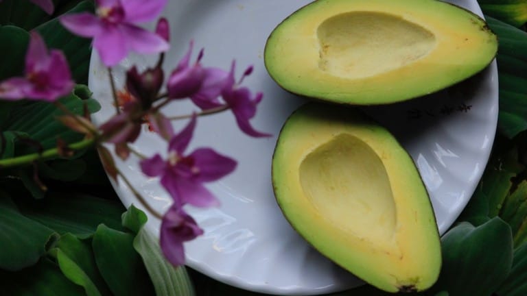 ketogenic diet