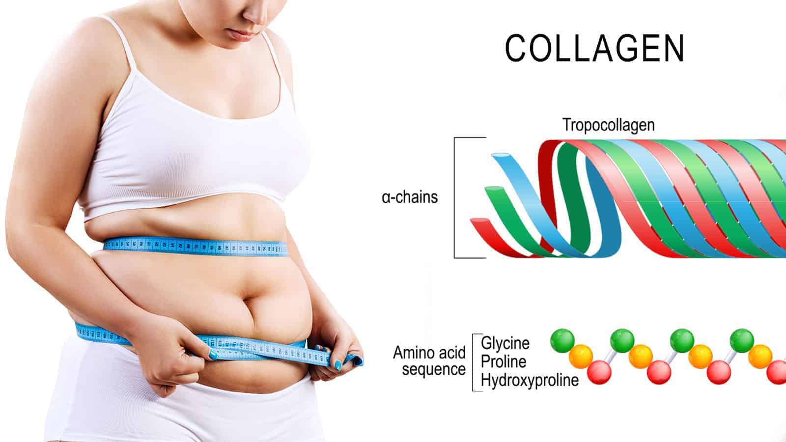 Does Collagen Really Help in Weight Loss? Here is What the Experts Say