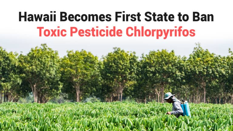 chlorpyrifos
