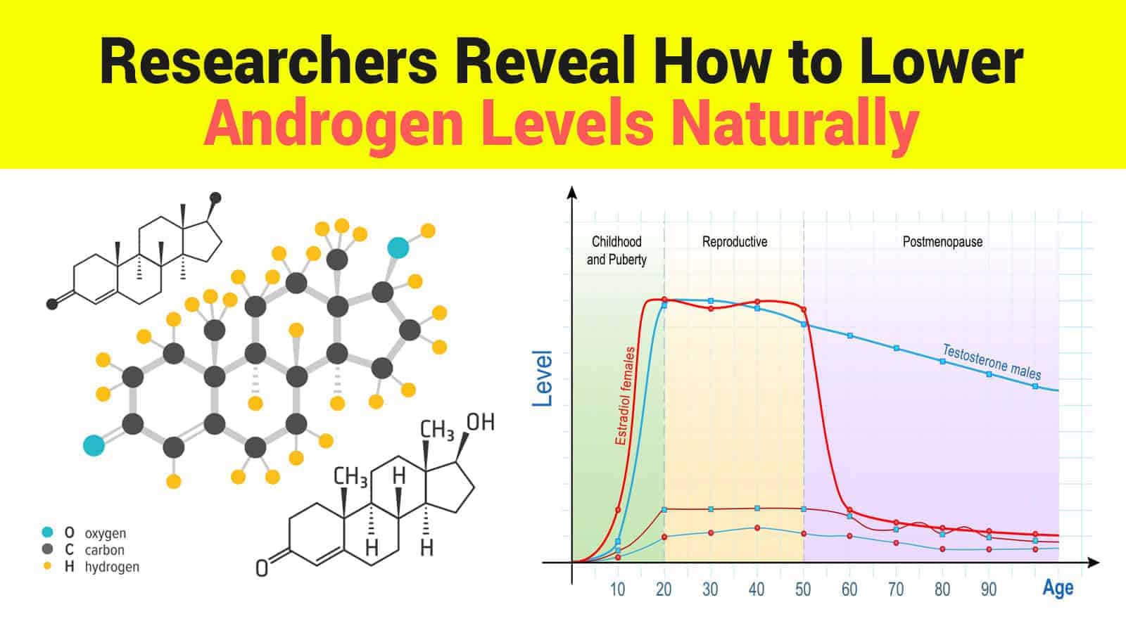 Researchers Reveal How to Lower Androgen Levels Naturally