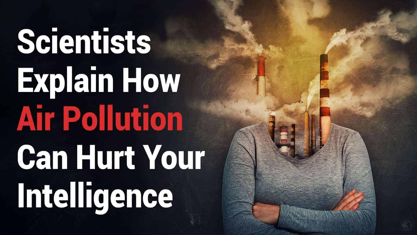 Scientists Explain How Air Pollution Can Hurt Your Intelligence