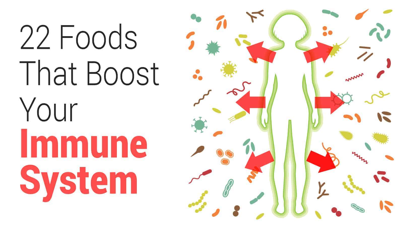 22 Foods That Boost Your Immune System