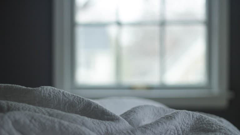 bed bugs