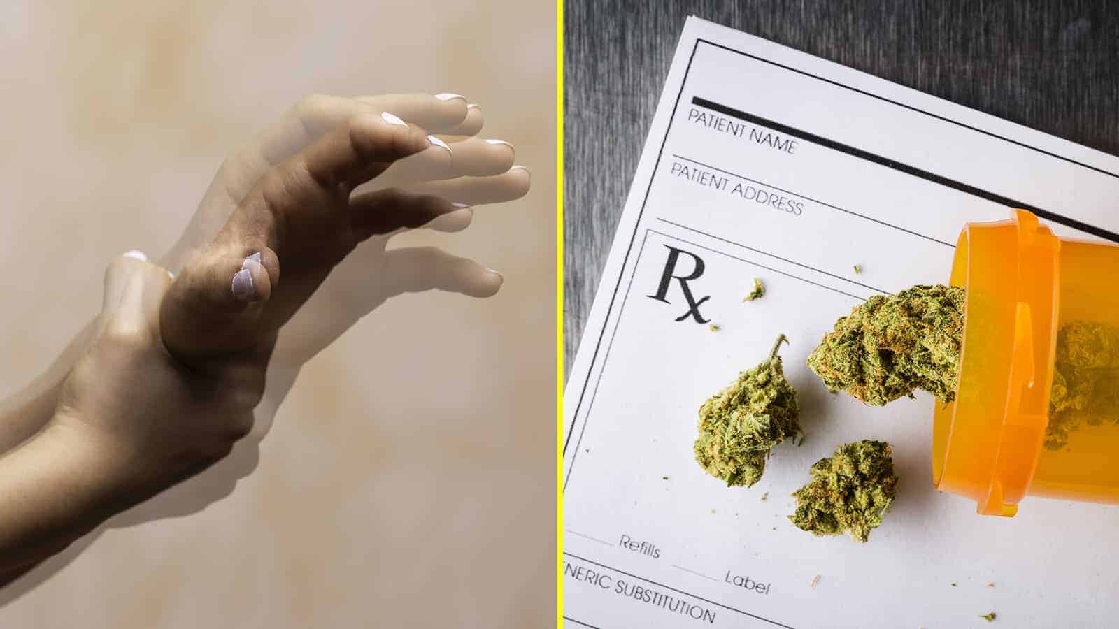 5 People Who Get Relief From Parkinson’s With Medical Marijuana