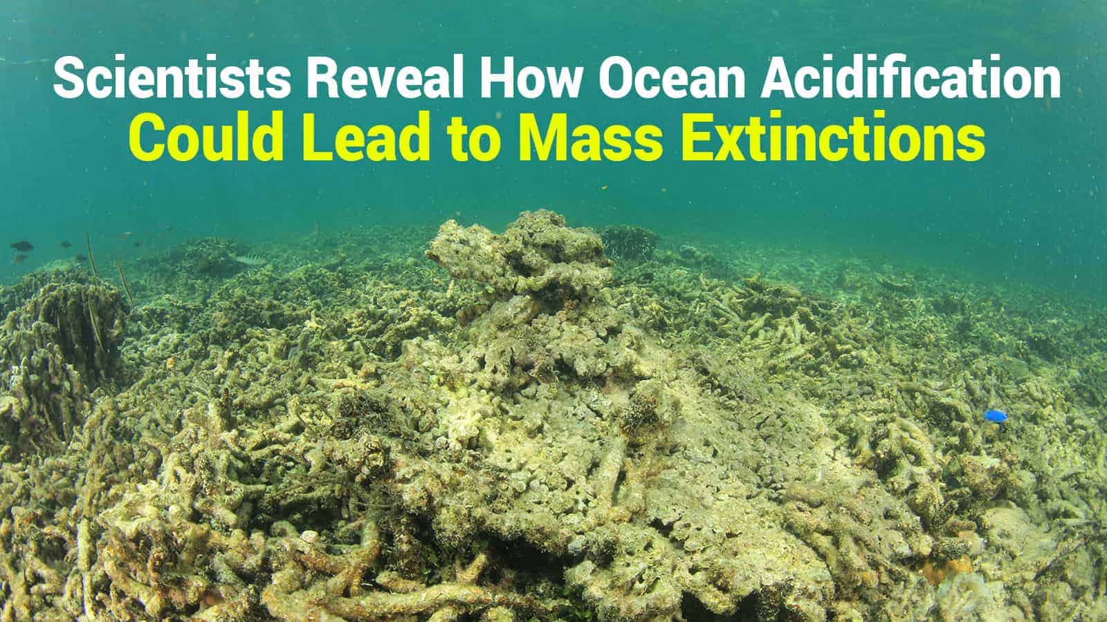 Scientists Reveal How Ocean Acidification Could Lead to Mass Extinctions