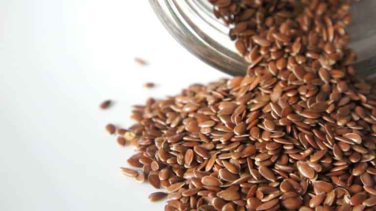 fenugreek