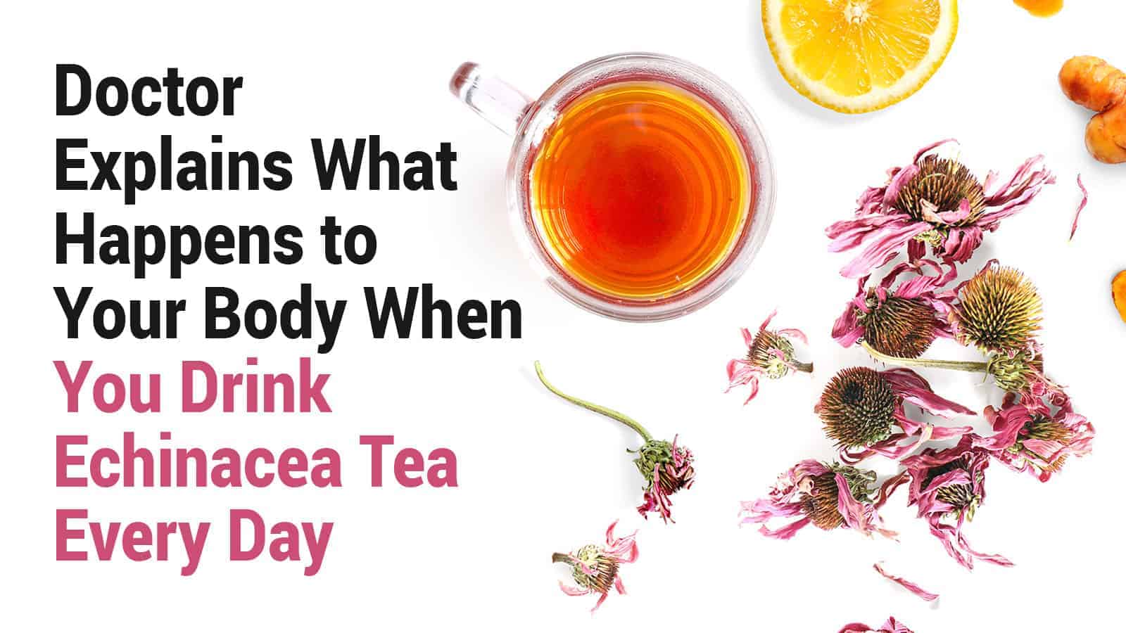 Doctor Explains What Happens to Your Body When You Drink Echinacea Tea Every Day