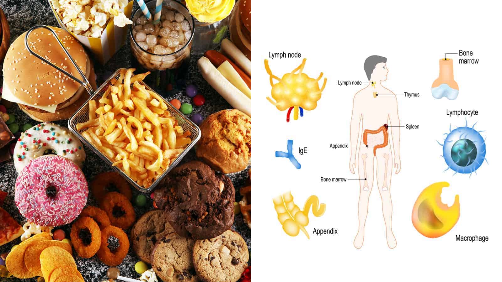 Doctors Reveal the Impact of Fast Food on Your Immune System