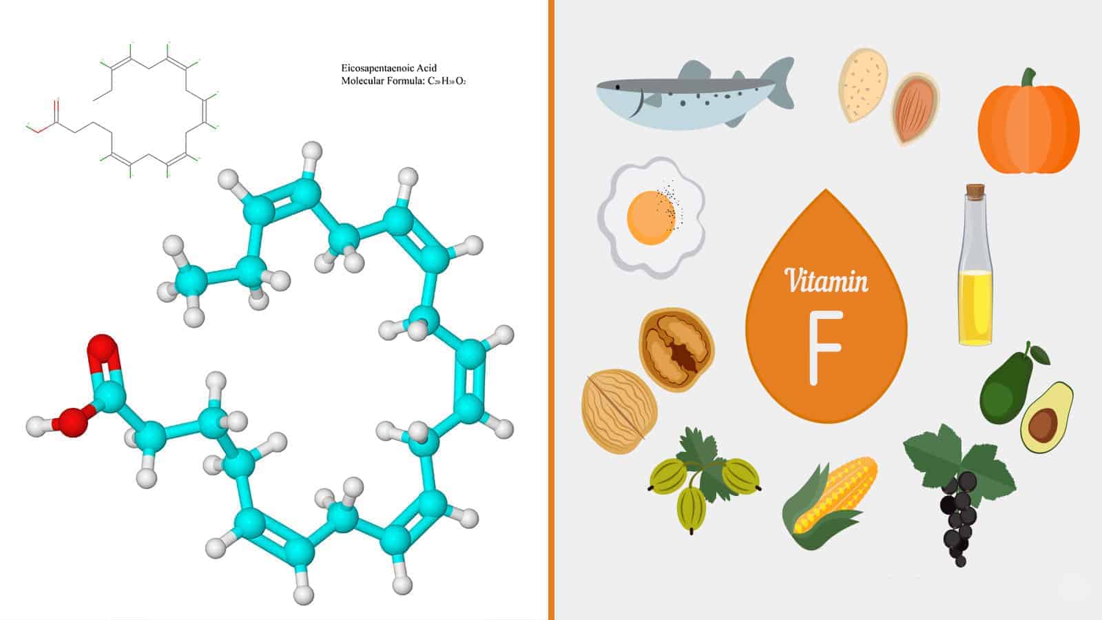 Heard of Vitamin F? Scientists Reveal How it Can Improve Your Health