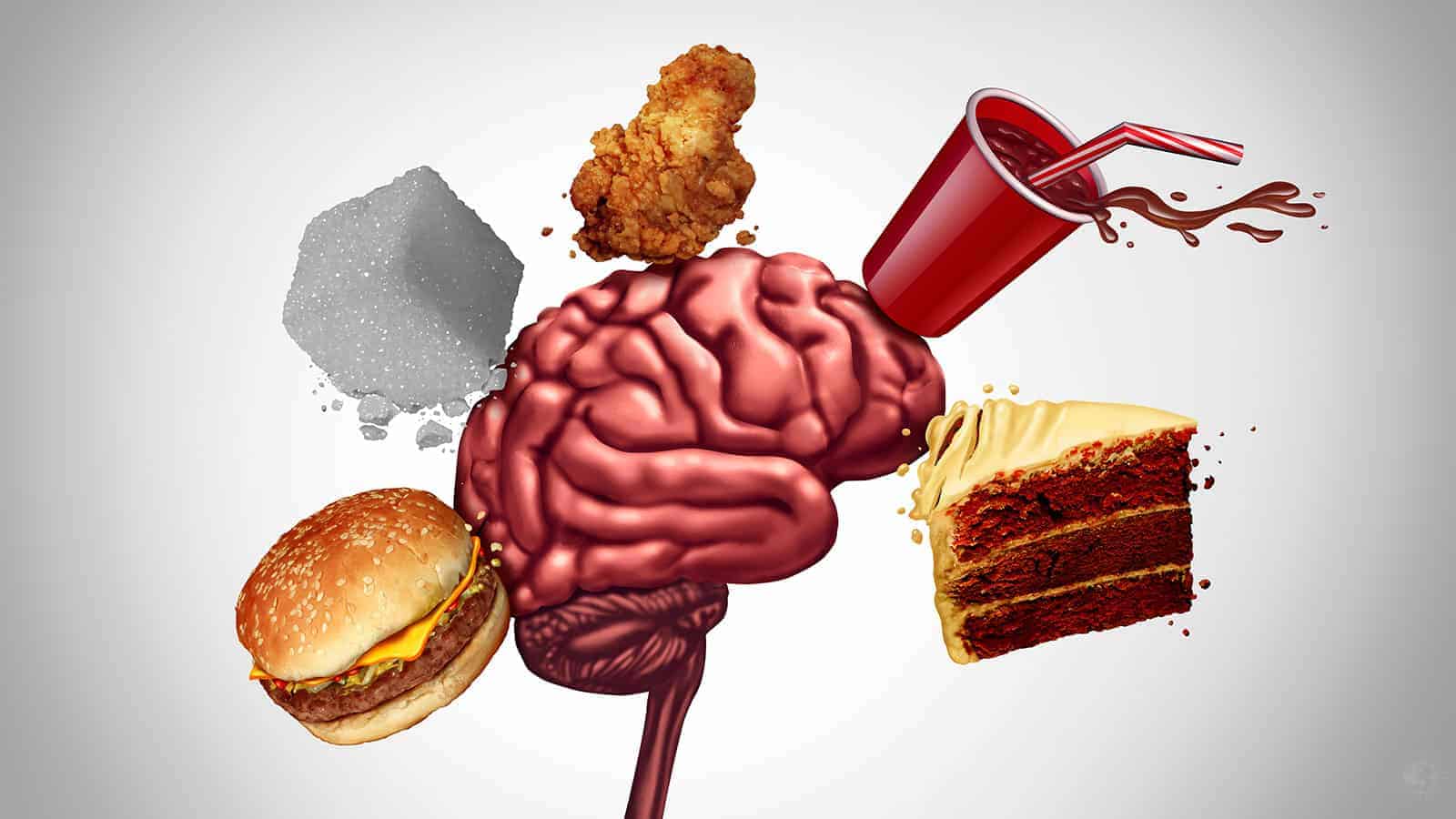 Science Reveals What Happens to Your Brain When You Eat Fast Foods