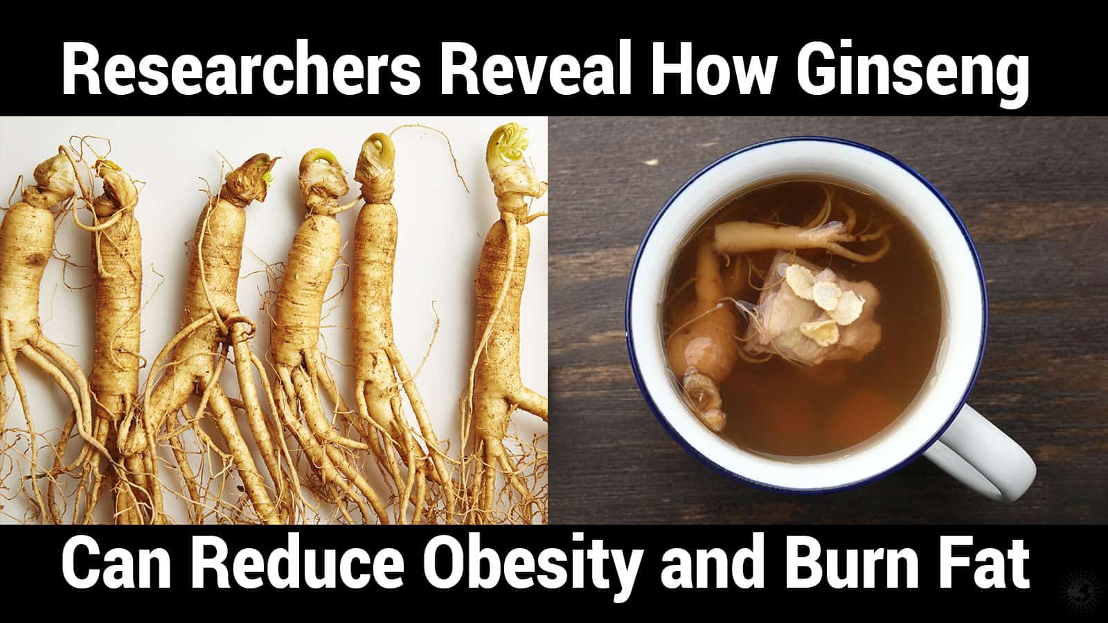 Researchers Reveal How Ginseng Can Reduce Obesity and Burn Fat