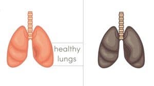 healthy lungs after tobacco