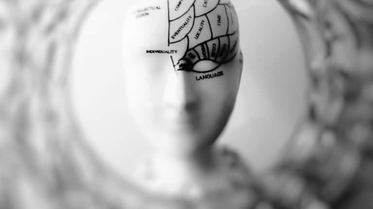 Optimize your brain